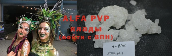 спиды Белокуриха