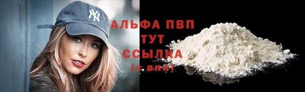спиды Белокуриха