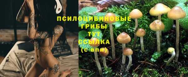 спиды Белокуриха